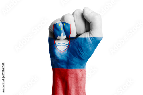 Man hand fist of SLOVENIA flag painted. Close-up.