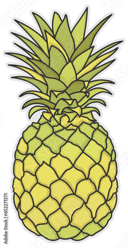 pineapple, ananas, fruit