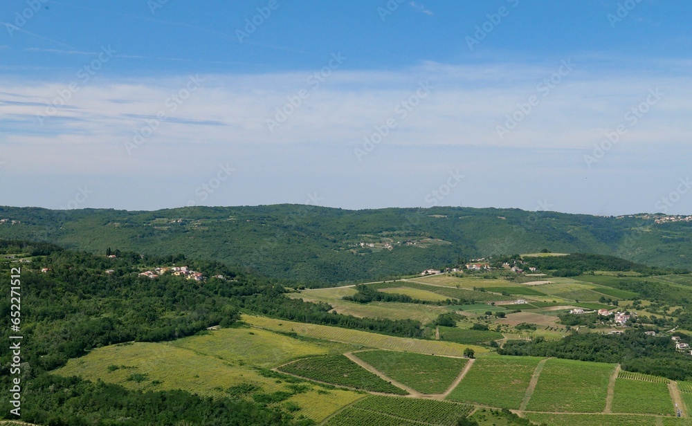 Beautiful landscape of Motovun in greenery on a sunny morning
