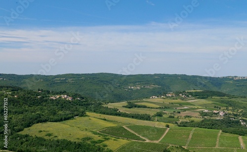 Beautiful landscape of Motovun in greenery on a sunny morning