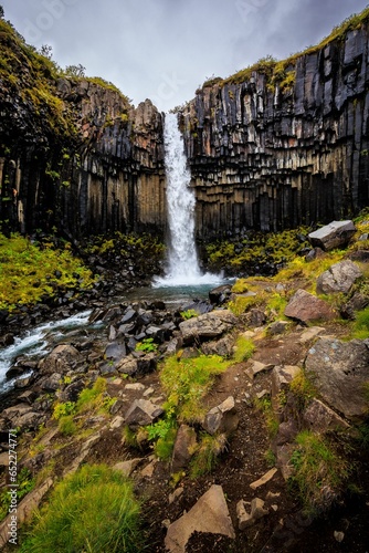 Vertical shot of the flowing Svartifoss waterfall on a cloudy day in  Iceland
