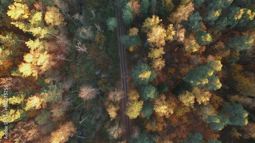 abandoned railway in the autumn forest from a drone