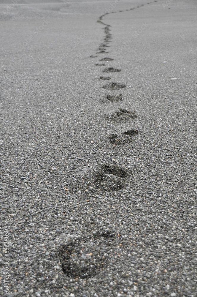 Vertical shop of footprints on a gravel beach Vertical shop of footprints on a gravel beach