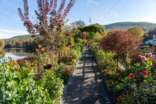 Natural view of the Shelburne Bridge with beautiful fllowering bushes on the side photo