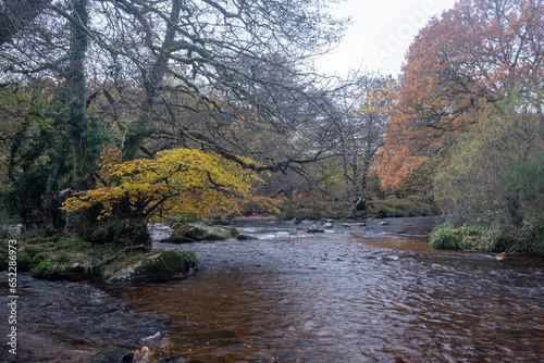 river in autumn