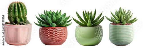 collection of small indoor plants , various cactus and succulent plants in different pots. isolated on white or transparent PNG. home indoor design,