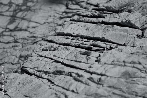 cracked rock texture