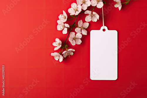 A white label or tag from clothing hangs on a branch of a blossoming cherry tree with a red background. Free space for placing a product or advertising text. © OleksandrZastrozhnov