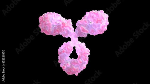 3D rendering of an antibody, IgG, scientific accurate, immune system, isolated, immunoglobuline, molecular, medical illustration,  (ID: 652320370)