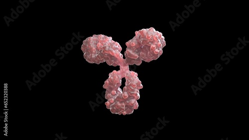 3D rendering of an antibody, IgG, scientific accurate, immune system, isolated, immunoglobuline, molecular, medical illustration,  (ID: 652320388)