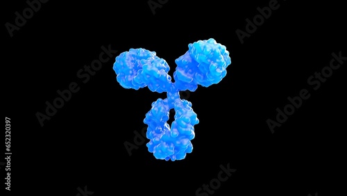 3D rendering of an antibody, IgG, scientific accurate, immune system, isolated, immunoglobuline, molecular, medical illustration,  (ID: 652320397)