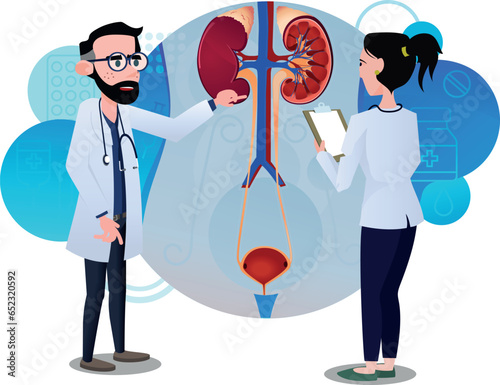 urinary system - two doctors studying or analyzing image of patient's kidneys
