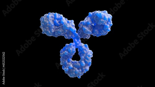 3D rendering of an antibody, IgG, scientific accurate, immune system, isolated, immunoglobuline, molecular, medical illustration,  (ID: 652322562)