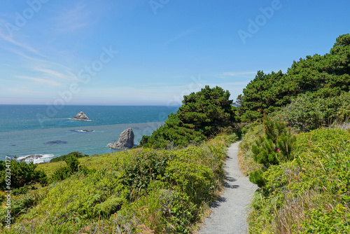 Trail along the Oregon Coast near Port Orford photo