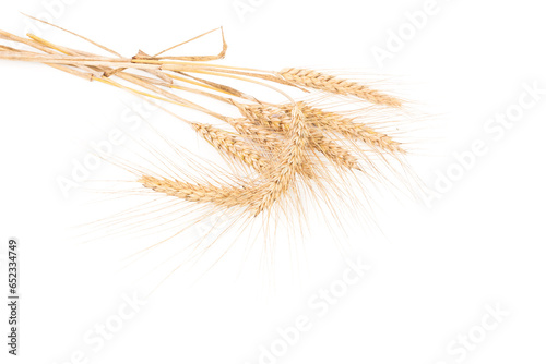 ears of wheat isolated on white