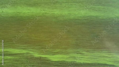 Water pollution by blooming blue-green algae - Cyanobacteria is world environmental problem. Water bodies, rivers and lakes with harmful algal blooms.