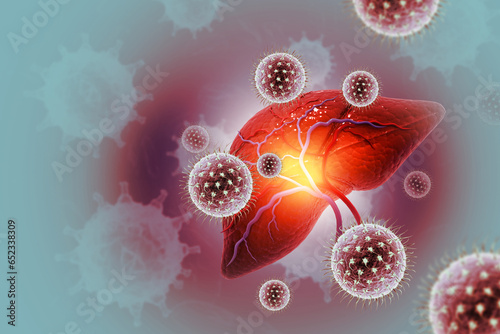 Bild auf Leinwand Hepatitis c virus infection. Liver disease. 3d illustration