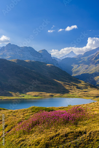 Landscape near Col du Petit-Saint-Bernard with Mont Blanc, on border France and Italy