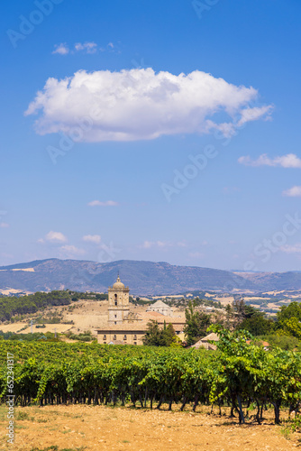 Irache Monastery, Road to Santiago de Compostela, Navarre, Spain photo