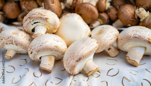 Mushroom close-ups