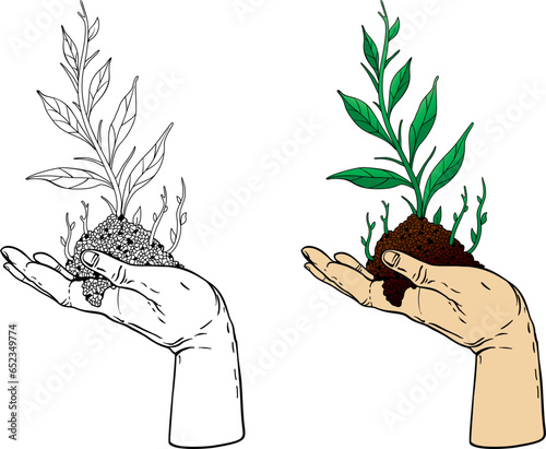 in hand a handful of earth and a green plant