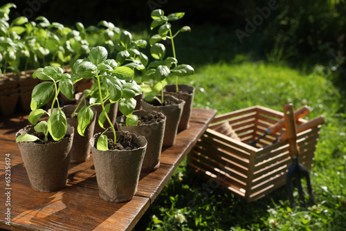 Beautiful seedlings in peat pots on wooden table and crate with gardening tools outdoors