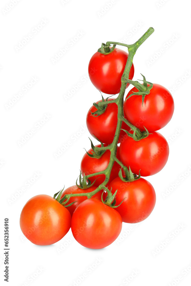 Branch of red ripe cherry tomatoes isolated on white Branch of red ripe cherry tomatoes isolated on white
