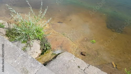 Storm water drain. storm collector in the city. Domestic drains flowing into the river. City ecology