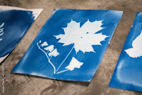 Cyanotype with leaves