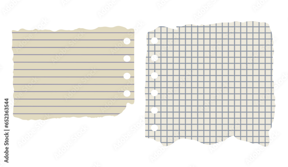 Lined and squared blank vector sheets of paper on white background. Ripped aged paper.
