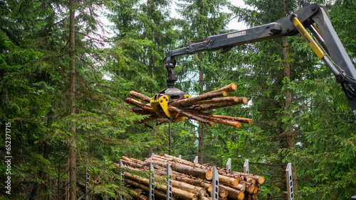 Holztransport auf LKW