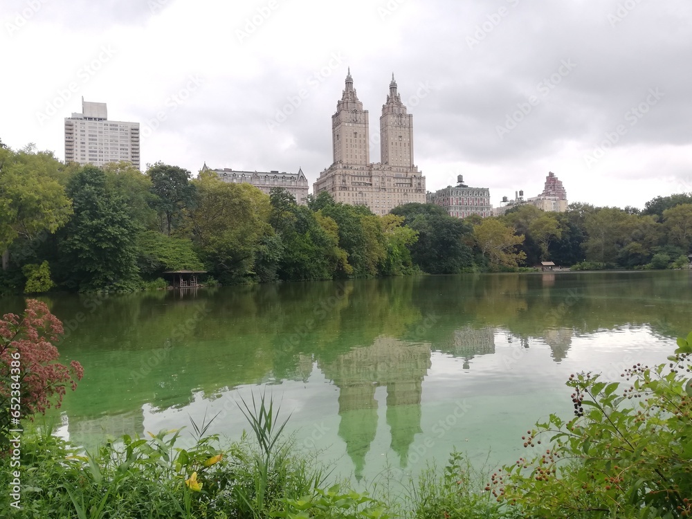 Central Park in a claudy day