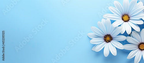 Background with blue flowers isolated pastel background Copy space