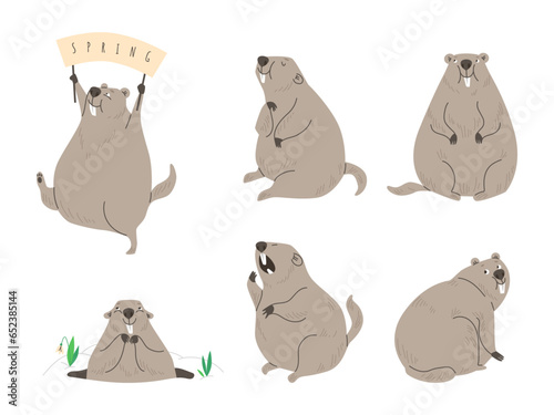 Cute groundhog vector illustration set, wild ground animal, funny marmot with big front teeth, woodchuck enjoying spring