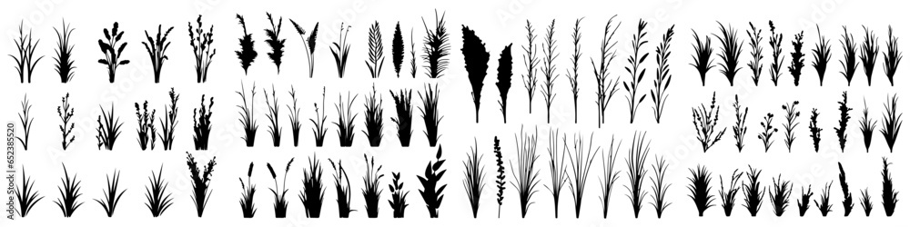 set of bush grass shrub herb silhouette vector transparent background eps 10 set of bush grass shrub herb silhouette vector transparent background eps 10