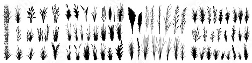 set of bush grass shrub herb silhouette vector transparent background eps 10