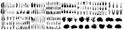 Fotografia set of bush grass shrub herb silhouette vector transparent background eps 10