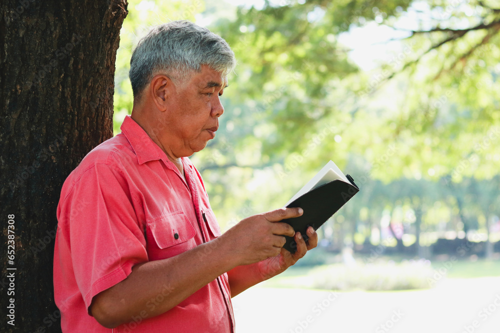 Fototapeta premium An elderly Asian man leans against a large tree reading a book in the garden. Living in retirement. copy space