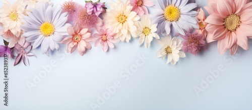 Dandelion blossom isolated pastel background Copy space