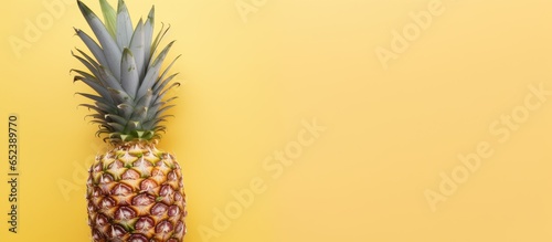Dried pineapple against isolated pastel background Copy space