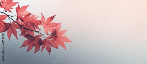 Background with blurred red...