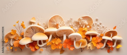 Closeup of Honey Agaric mus...