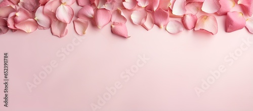 Petals of roses that are not fresh isolated pastel background Copy space © vxnaghiyev