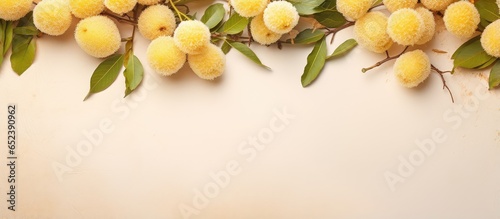 Fresh longan on a isolated pastel background Copy space