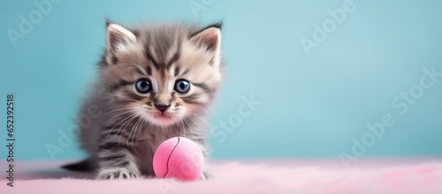 Cute kitten playing with wo...