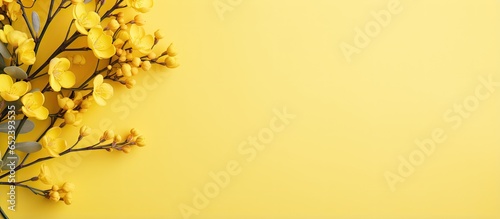 Yellow flower on a isolated pastel background Copy space © vxnaghiyev