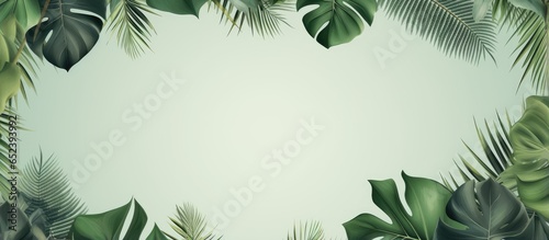 Black isolated pastel background Copy space with tropical tree leaves and branches for foliage backdrop