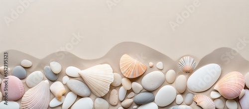 Texture and shells on a beach with white stones isolated pastel background Copy space © vxnaghiyev