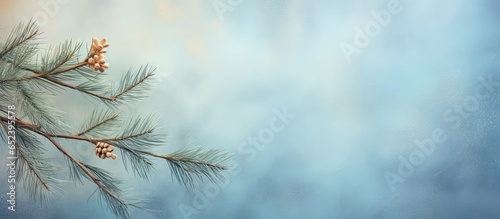 A Christmas tree branch in ...