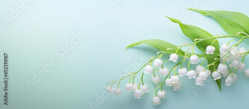 Lily of the Valley blossom isolated pastel background Copy space